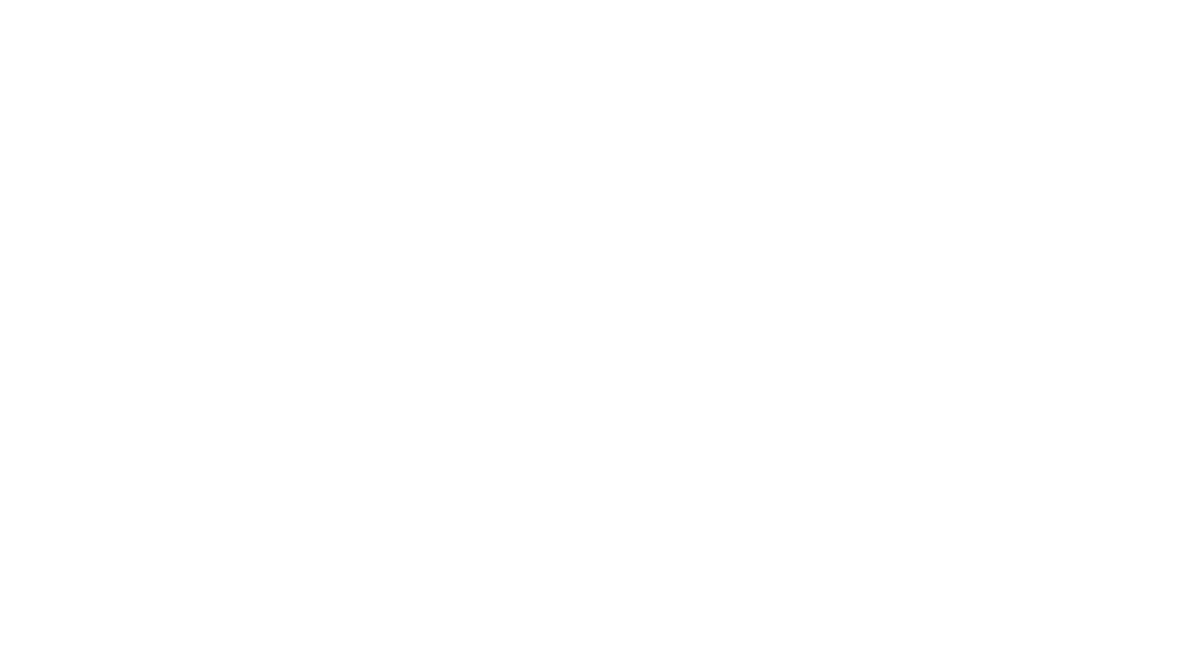 Dragon Racing International